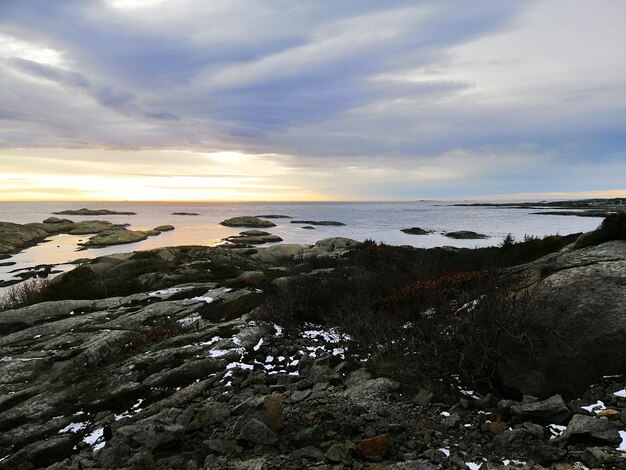 Sea surrounded by rocks covered in branches under a cloudy sky during the sunset in Norway