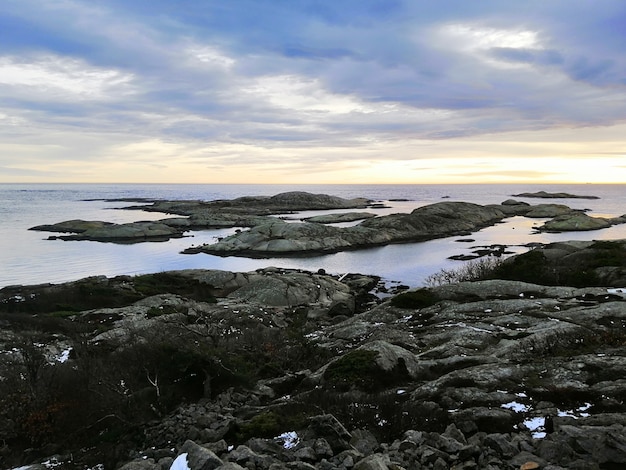 Sea surrounded by rocks covered in branches under a cloudy sky during the sunset in Norway