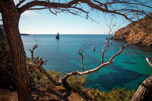 Sea surrounded by rocks and greenery under the sunlight in Ibiza