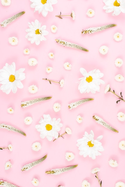 Free photo seamless veronica and white flower pattern on pink background