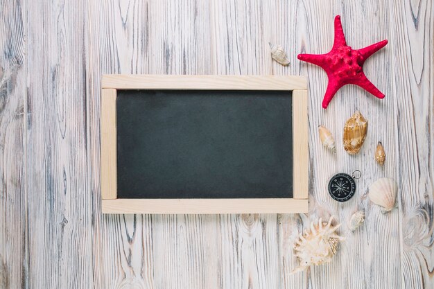 Seashells and compass near chalkboard