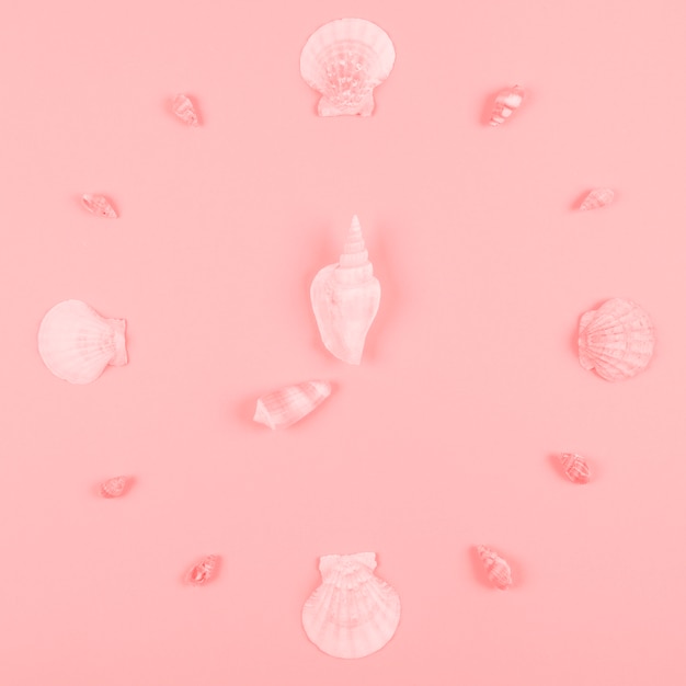 Free photo seashells decoration on pink background