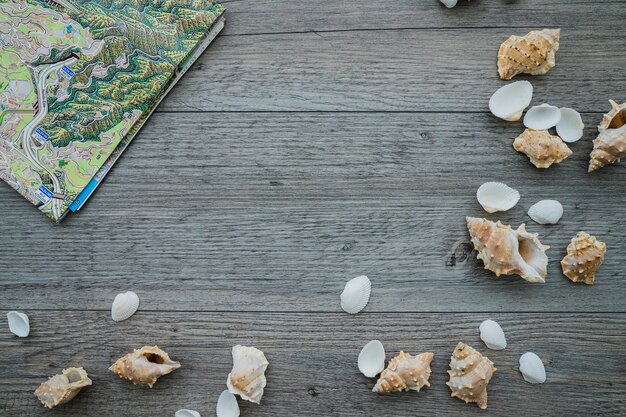 Seashells and map on wooden surface