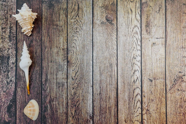 Free Photo seashells on wood