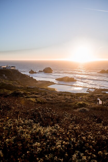 Seashore near plants at sunrise