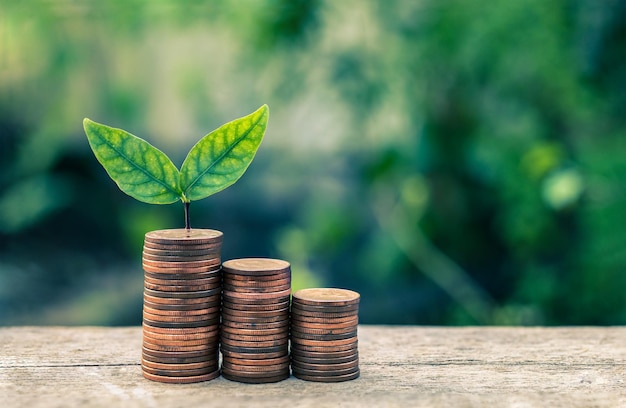 Seedling Plant are Growing on Money Coin Tower with Blurred Bokeh Background Business and Finance Concept