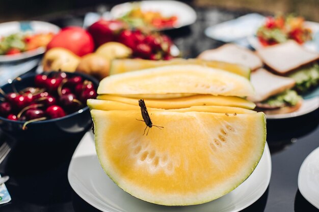 Selective focus of butterfly on yellow sweet melon