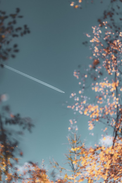 Free Photo selective focus of contrails