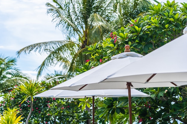 Selective focus point on umbrella with coconut palm tree on the background for holiday vacation