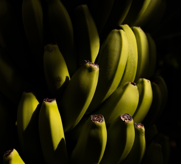 Free photo selective focus shot of a bunch of bananas