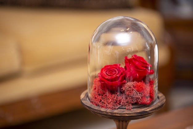 Free Photo selective focus shot of the decorative small red roses in a glass globe