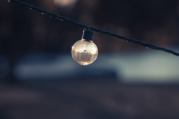 Free photo selective focus shot of a turned-off lightbulb on a string