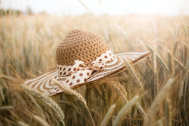 Free Photo selective focus shot of a wheat field with a straw hat on the foreground