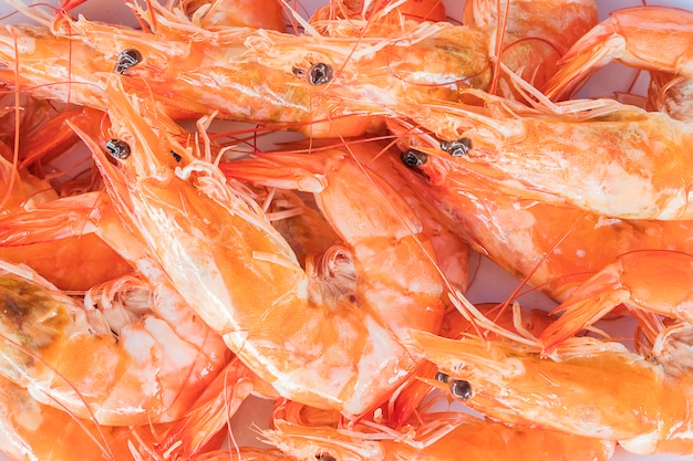 Selective focus of steamed shrimp in a white plate