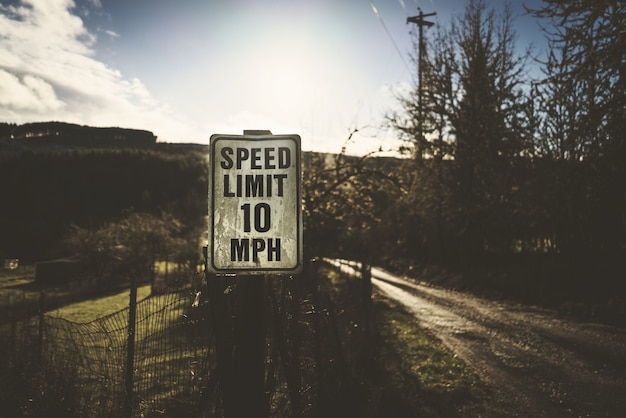 Selective shot of speed limit signage on the road near trees on a sunny day