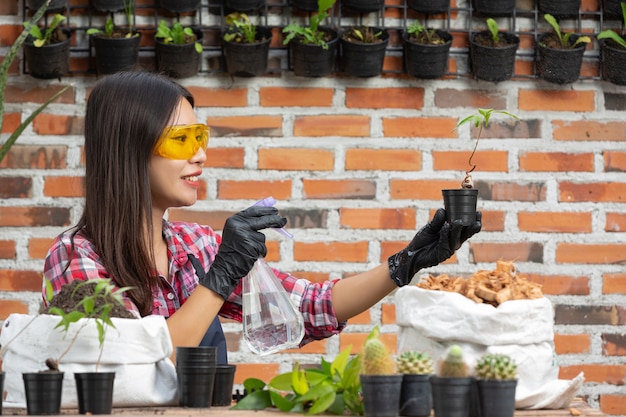 Free photo selling plant online; woman smiling while growing plant