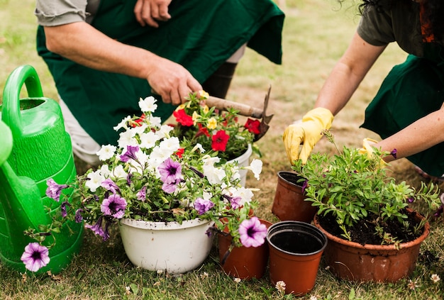 Senior couple caring the flowers