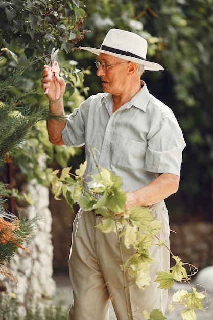 Senior gardener is enjoying his work in garden. Old man in a white shirt.