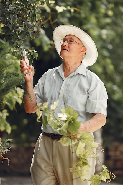 Senior gardener is enjoying his work in garden. Old man in a white shirt.