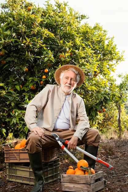 Free photo senior man cultivating oranges