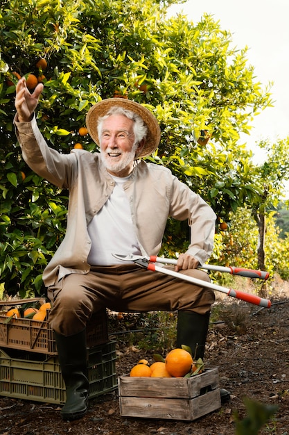 Senior man cultivating oranges