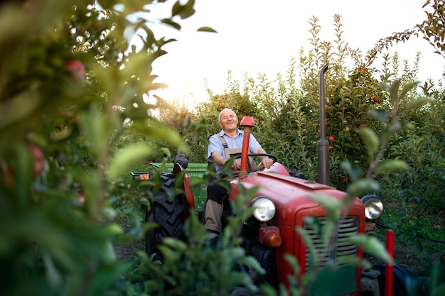 Free photo senior man farmer driving his old retro styled tractor machine through apple fruit orchard