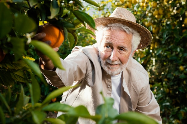 Senior man in orange trees plantation