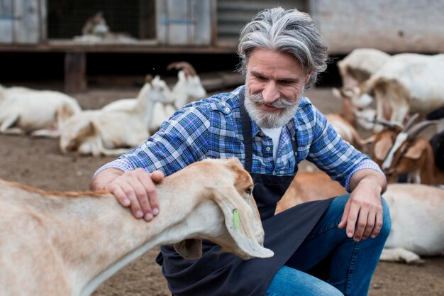 Senior man playing with goats