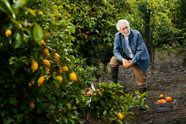 Free photo senior man standing next to his orange trees