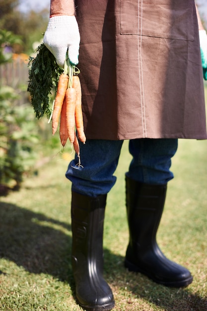 Free photo senior man working in the field with vegetables