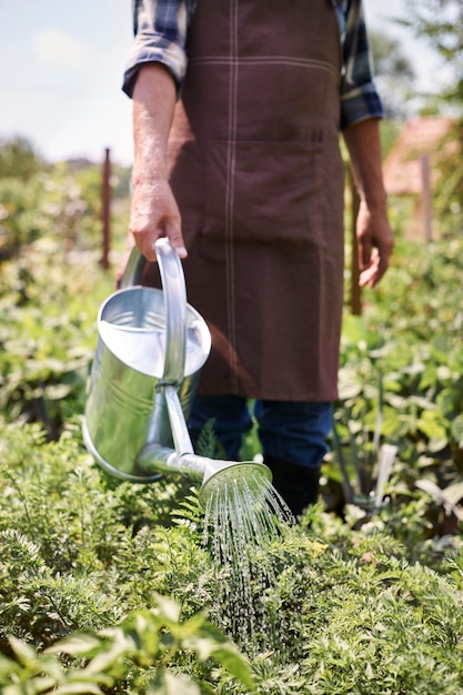 Free photo senior man working in the field