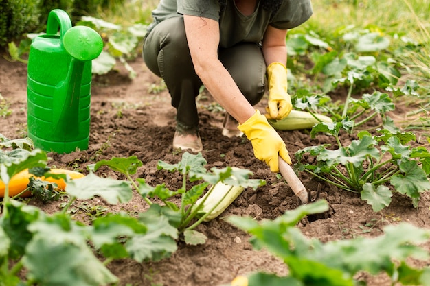 Senior woman caring the crops