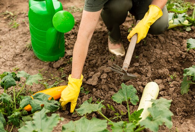 Senior woman caring the crops