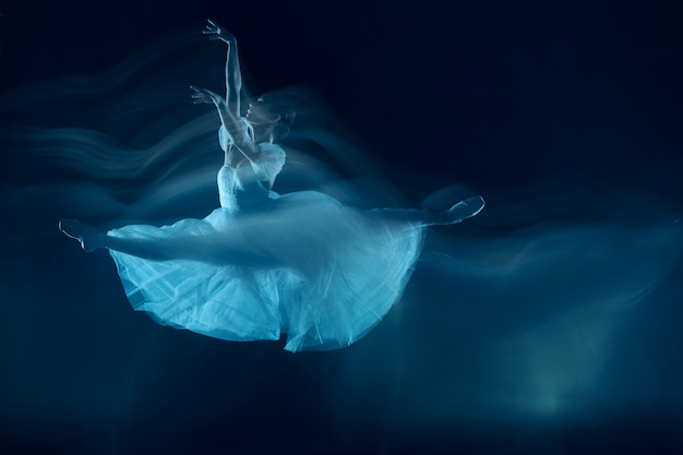  a sensual and emotional dance of beautiful ballerina through the veil