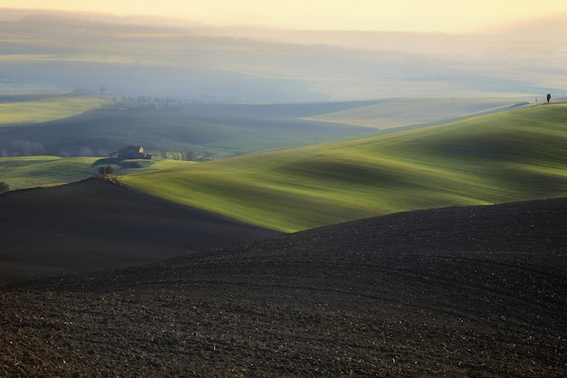 Free photo serenity of the countryside