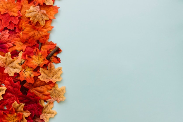 Free photo set of autumn leaves in border