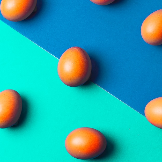 Set of brown chicken eggs on bright board