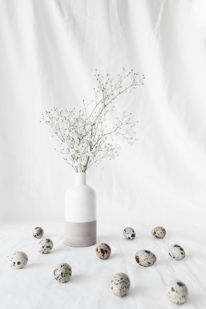 Free photo set of easter quail eggs near plant branches in vase