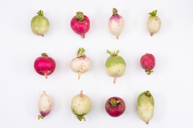 Set of fresh and colorful whole radishes