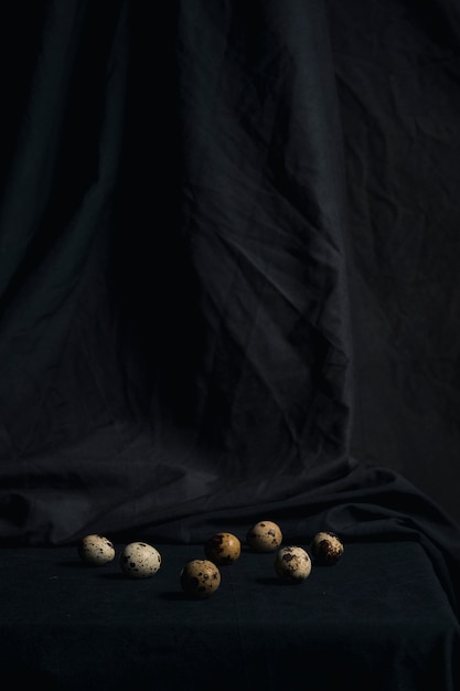 Set of quail eggs between blackness