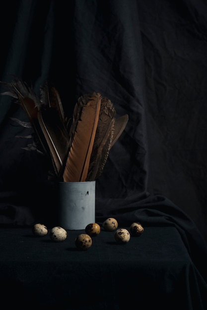 Set of quail eggs near feathers in can