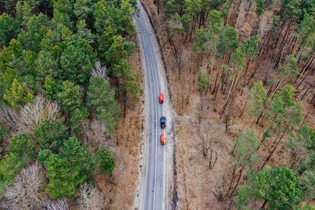 Several cars with kayaks on roof rack driving on the road among trees