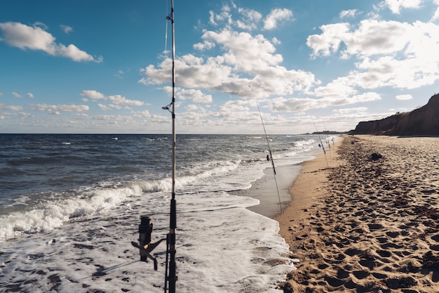 Several fishing rods in a row on the beach