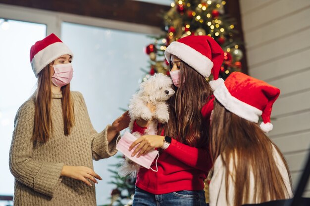 Several girls play with a small dog on New Years Eve at home.