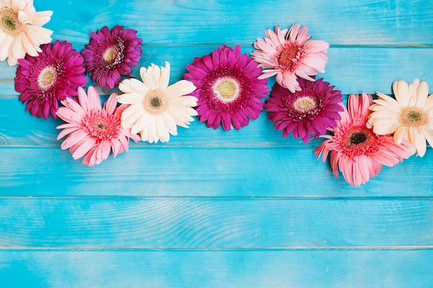 Shades of pink flowers on blue table