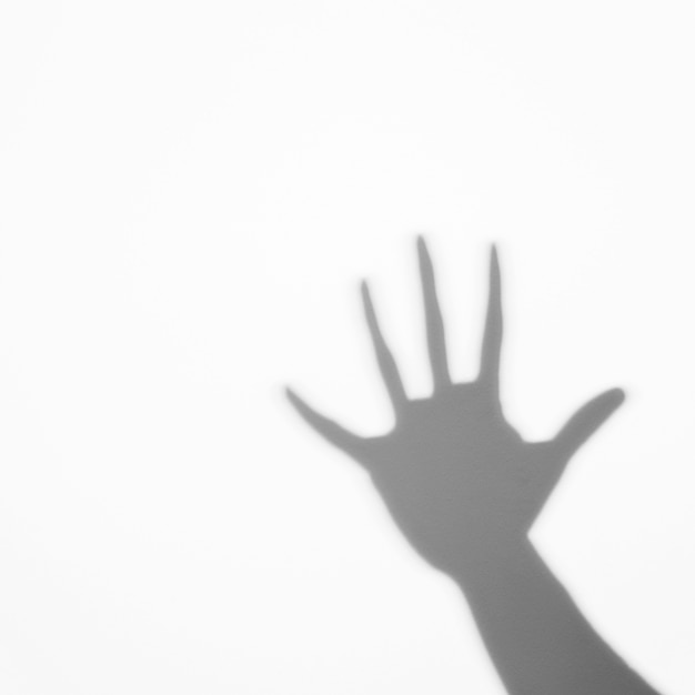 Free Photo shadow of human palm on white backdrop