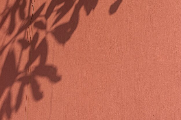 Shadow of leaves on an orange wall