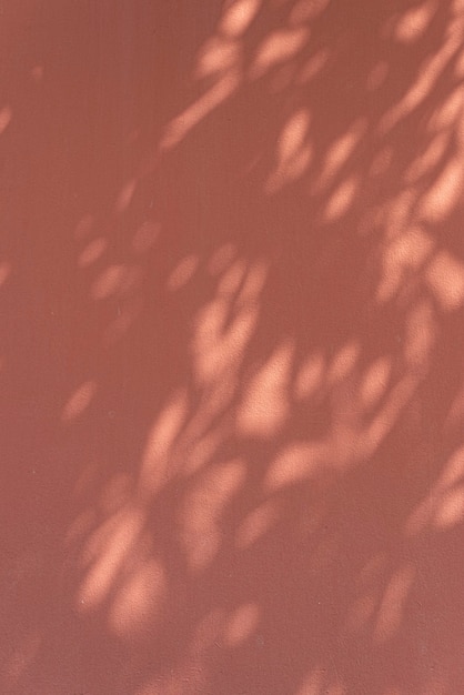 Free Photo shadow of leaves on an orange wall