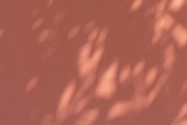 Free photo shadow of leaves on an orange wall