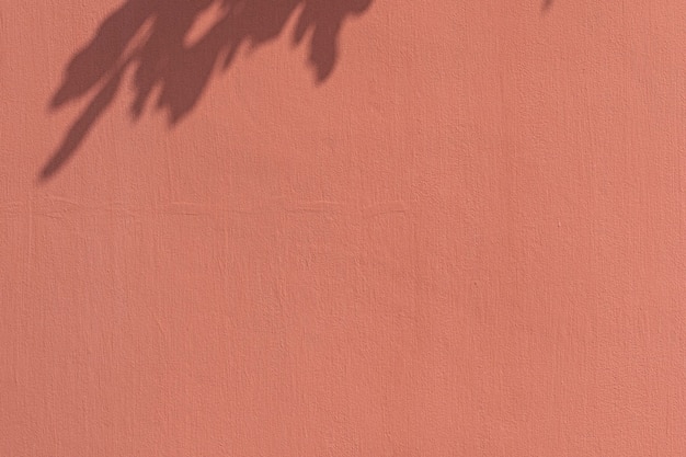 Shadow of leaves on an orange wall